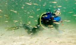 buceo-en-ruidera